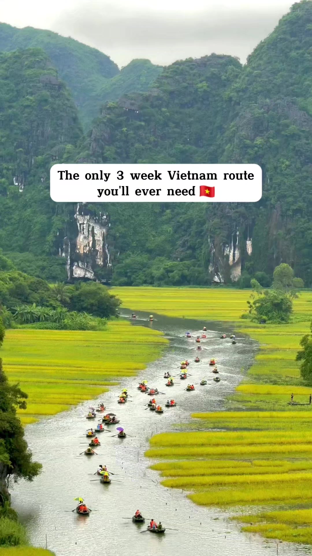 Vietnam Express Diary, Temple Of Literature