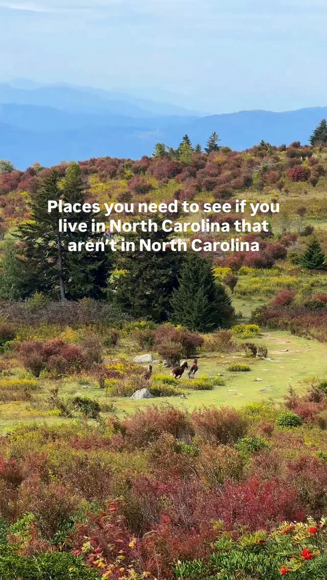Travel Content Creators | Guides & Stays, Ancient Lore Village