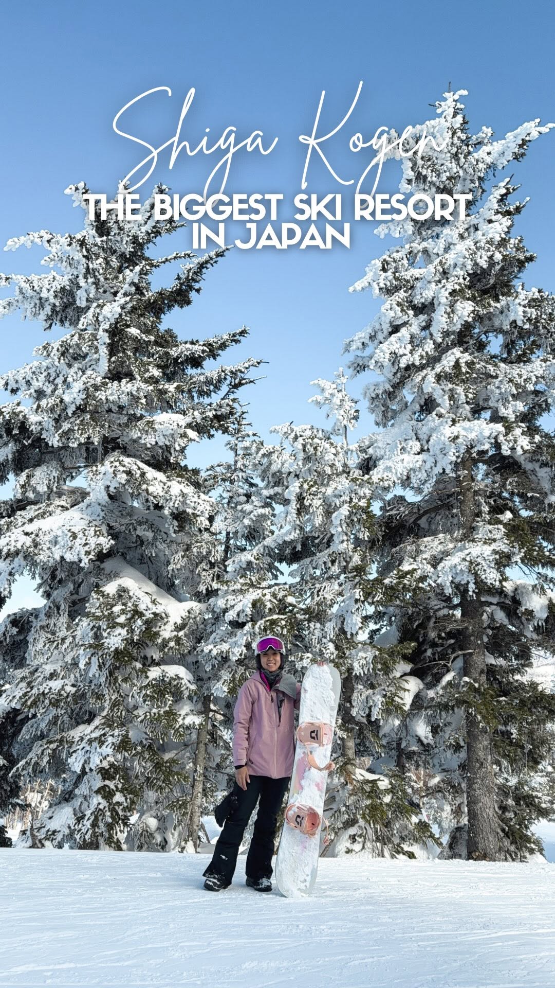 May | Travel • Food • Lifestyle • Fashion, Snow Monkey Park (Jigokudani Yaen Koen)
