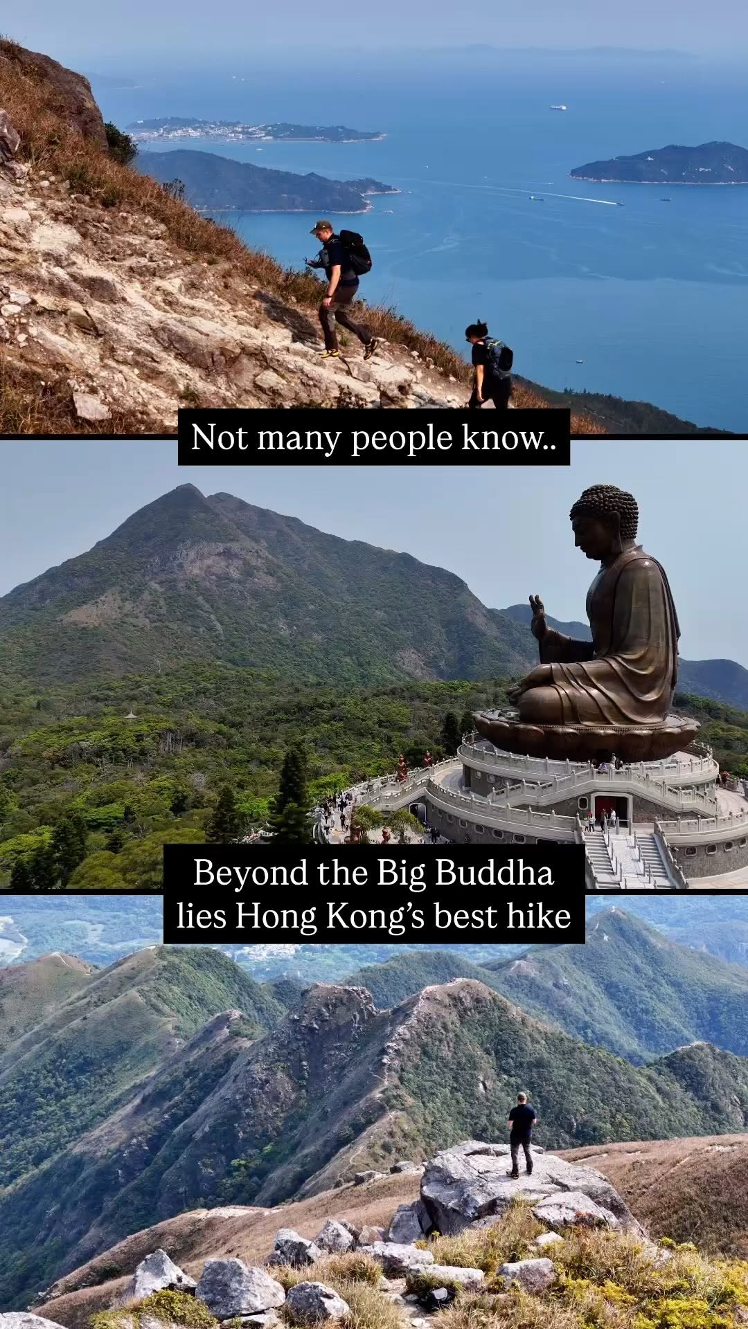 Birdseye Hong Kong, Tian Tan Buddha