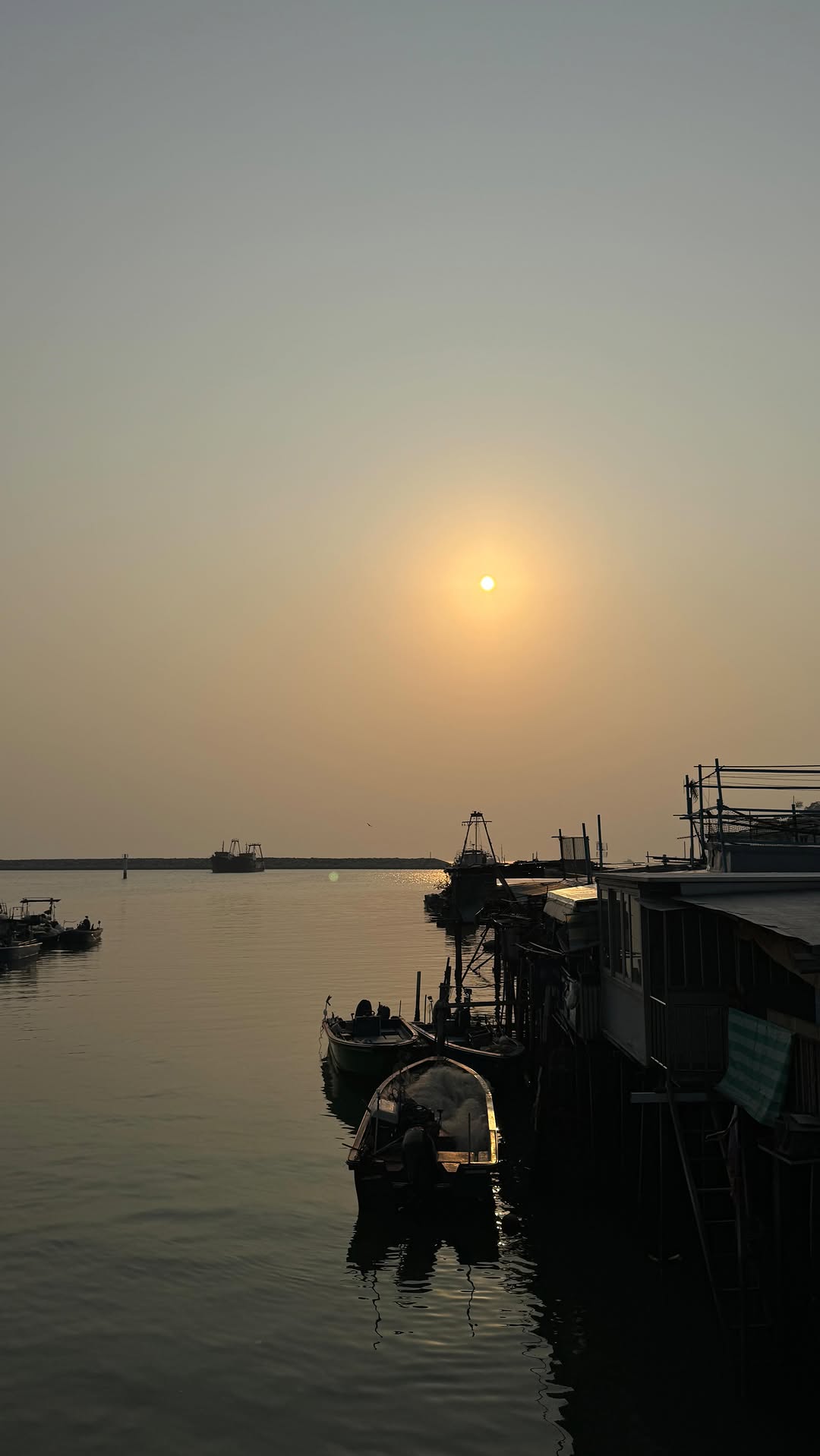 Viveca ♡, Tai O