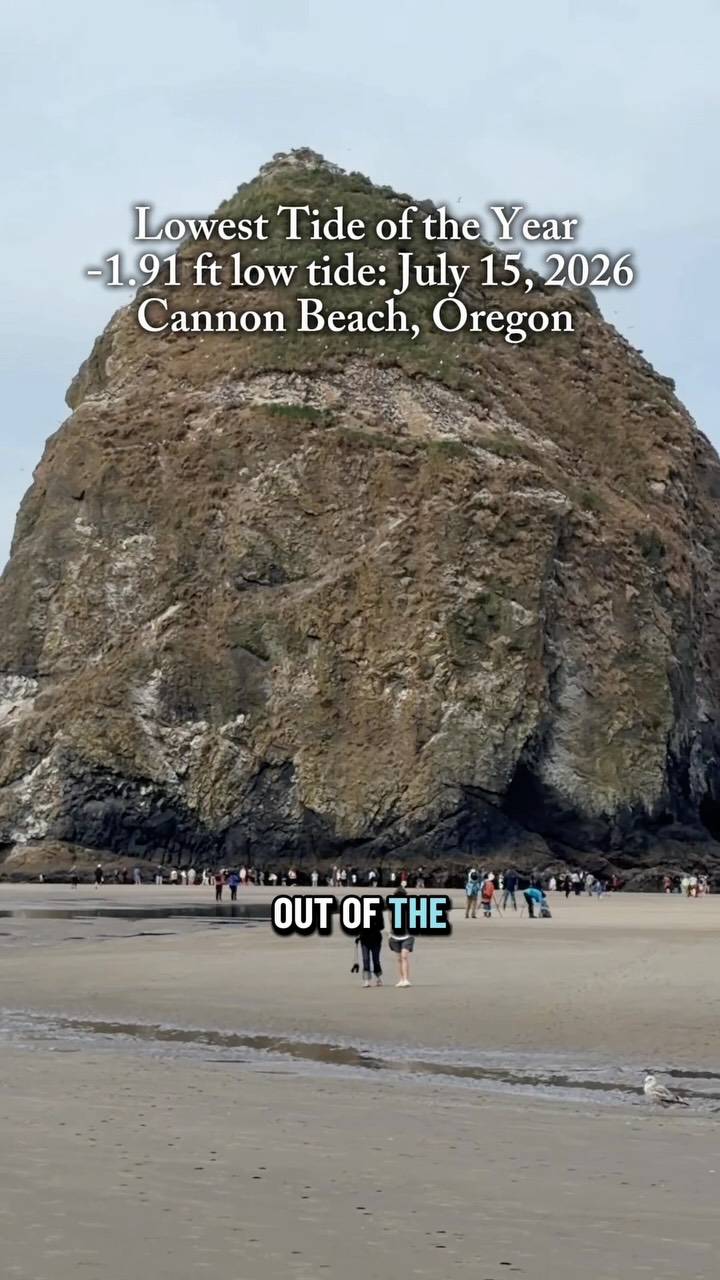 that_coast_life, Cannon Beach