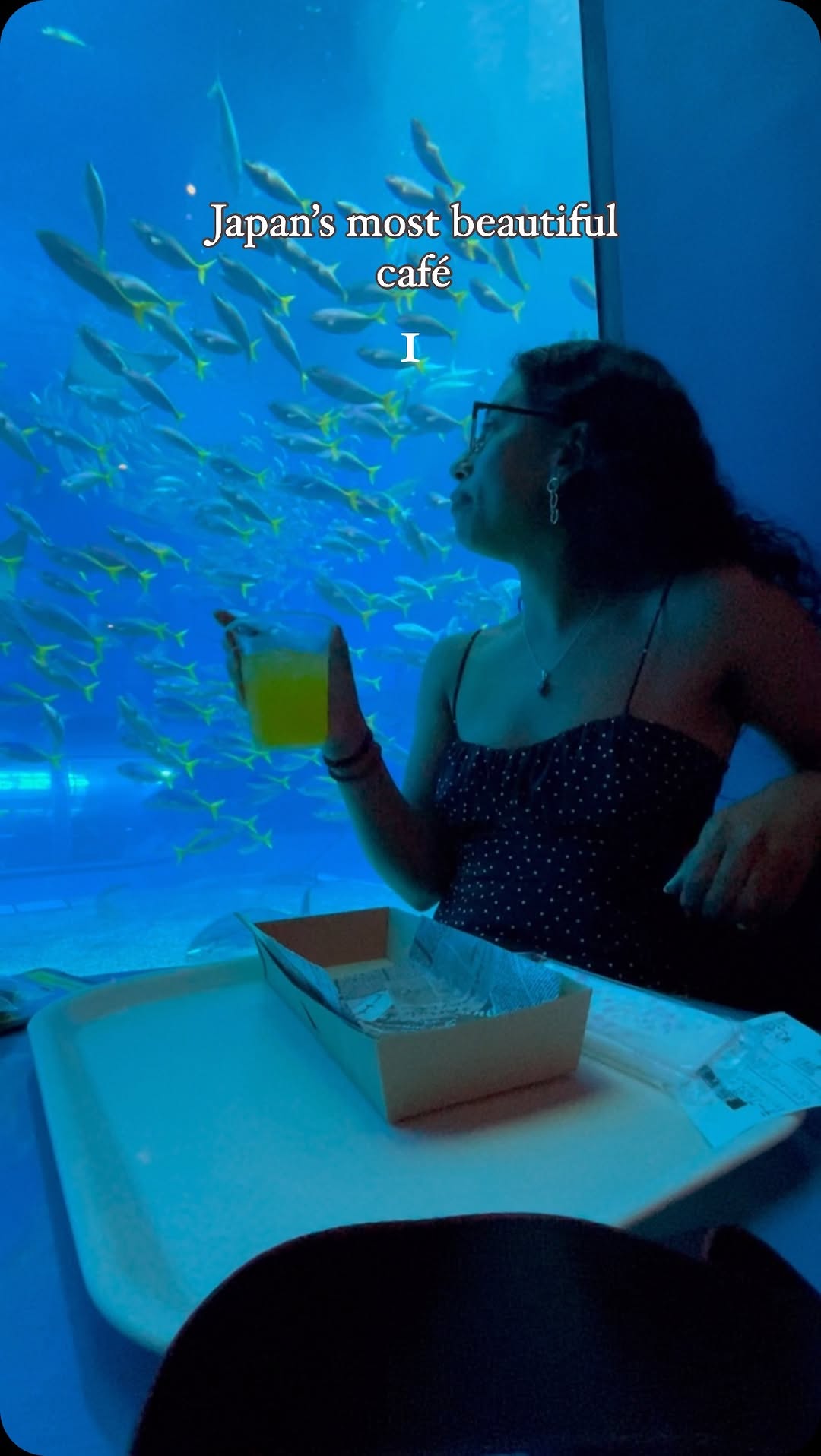 Audacious Fool | Travel Content Creator, Okinawa Churaumi Aquarium