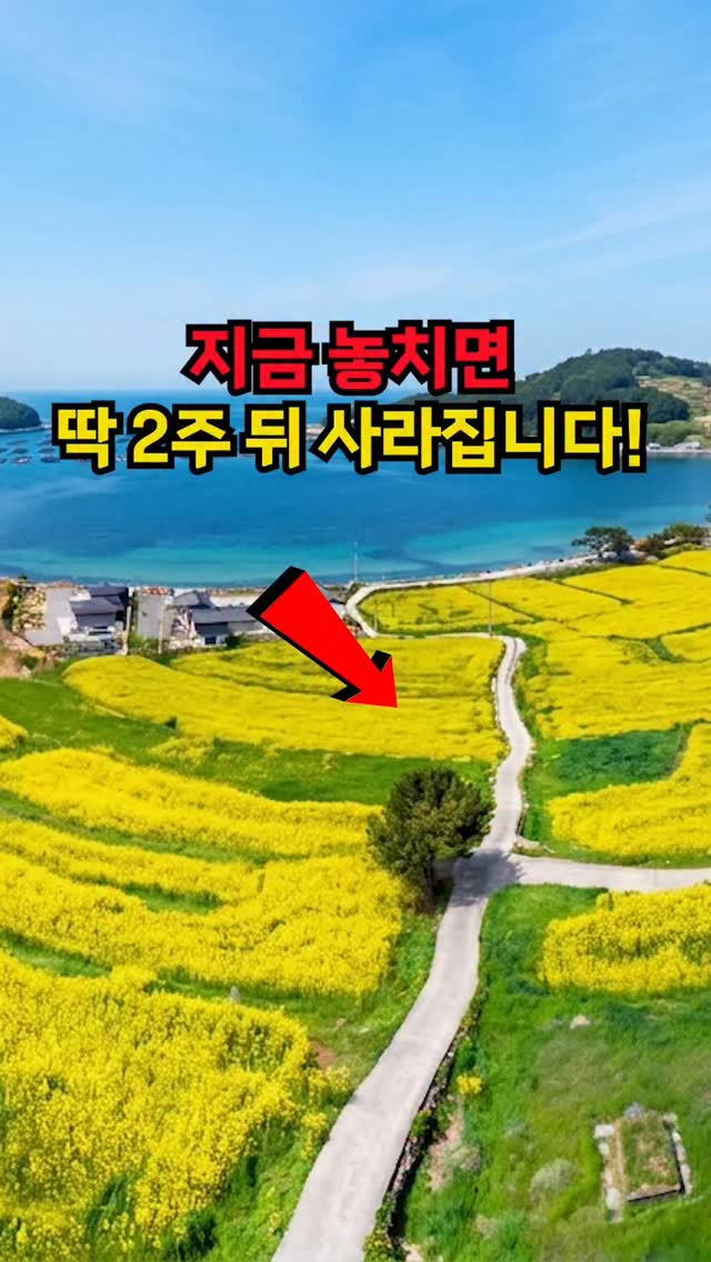 아웃도어큐레이터, Wando Ferry terminal