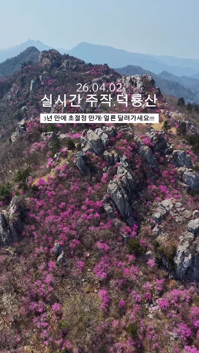 기철, 주작산