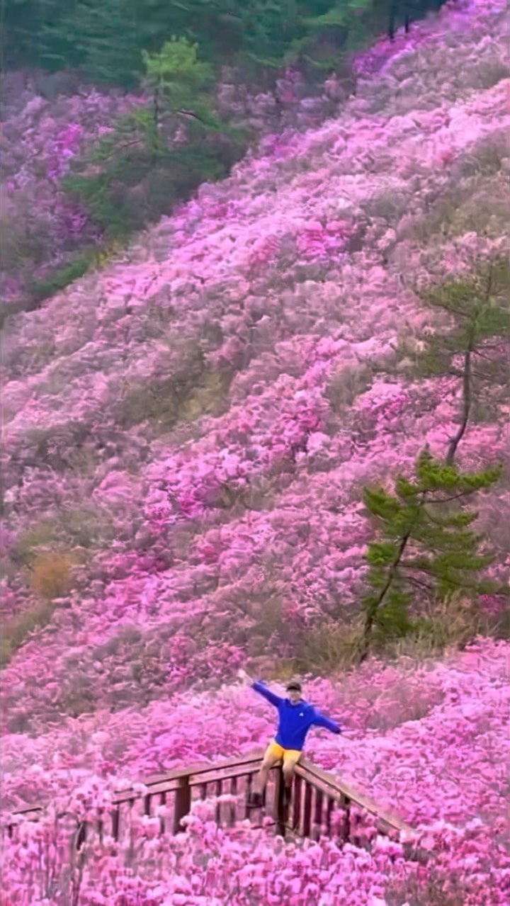 산에 올라 | 아웃도어 정보, 천주산주차장