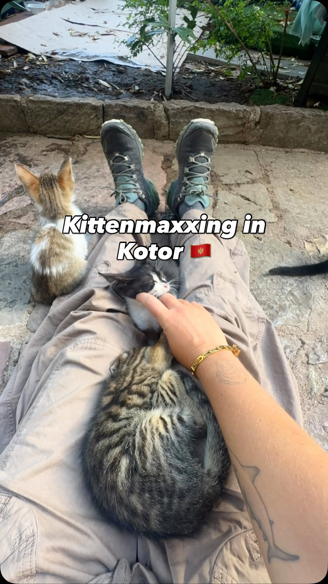 Kaitlyn O’Brien, Kotor Old Town View
