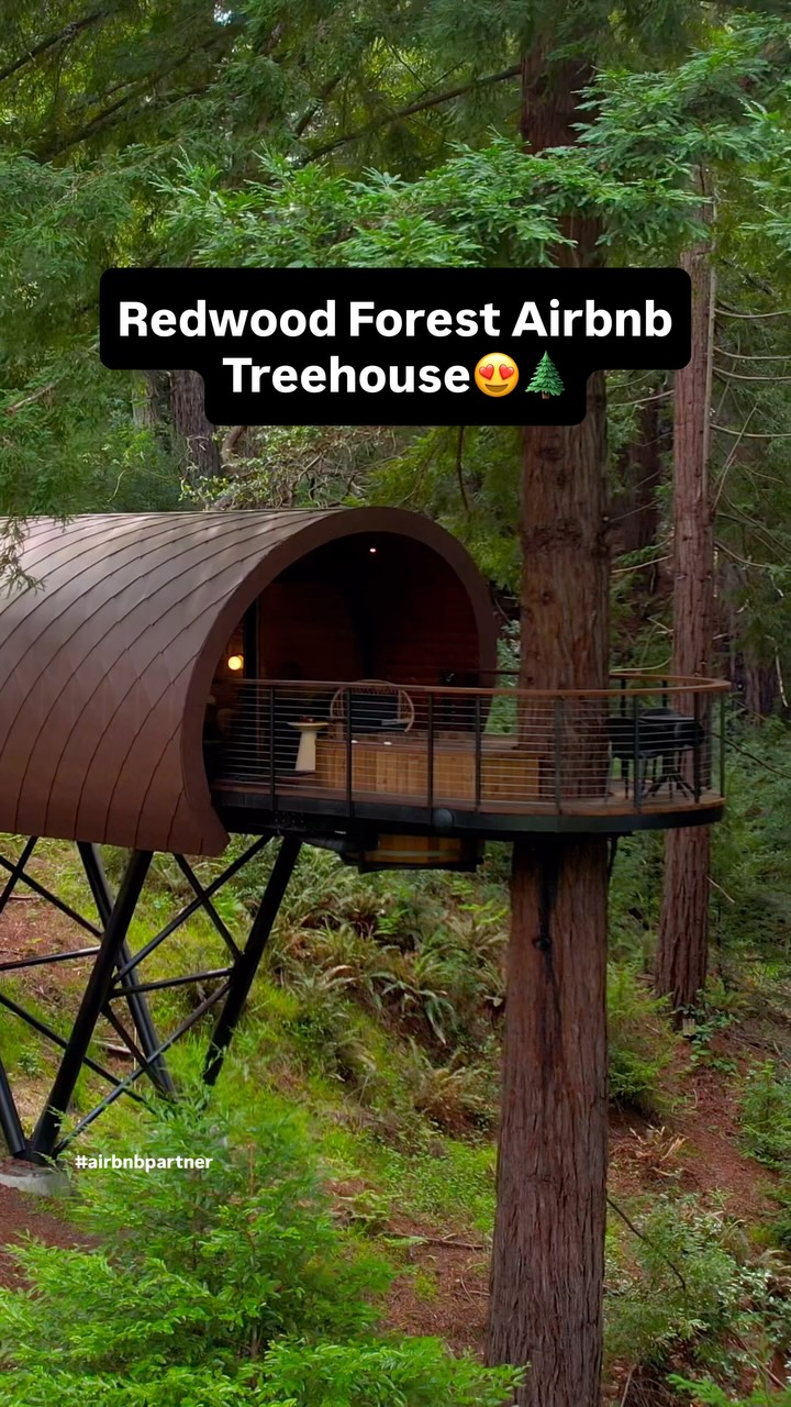 Alex Khachigian | Adventure Travel, Armstrong Redwoods State Natural Reserve