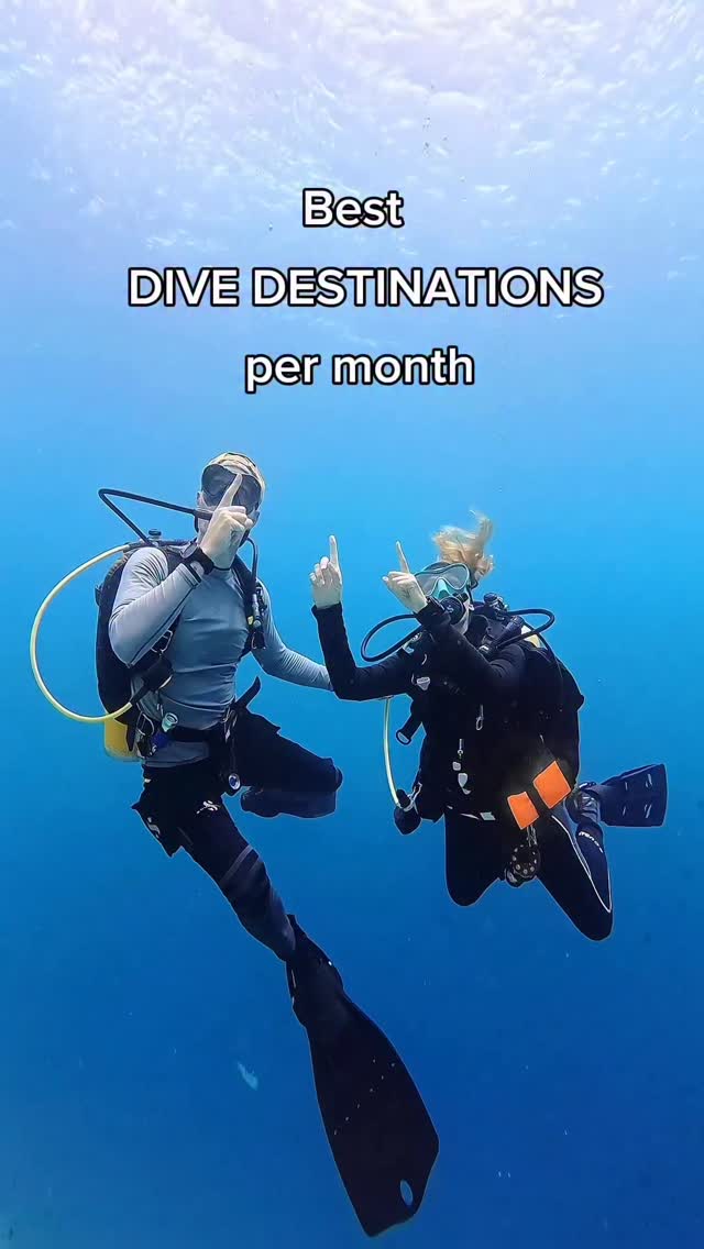 THE SCUBA COUPLE I MAIKE & NIELS, Malaysia