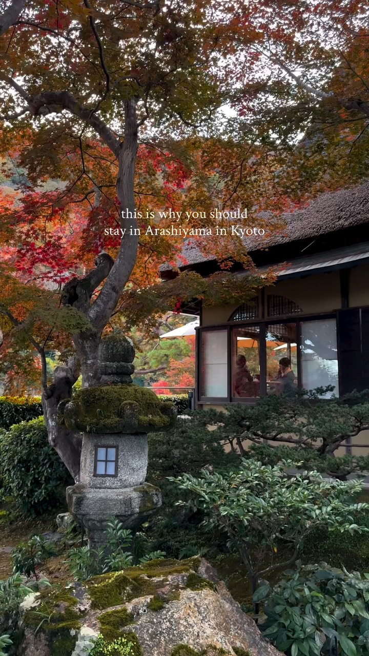 mado_to_soyo, Arashiyama Bamboo Forest