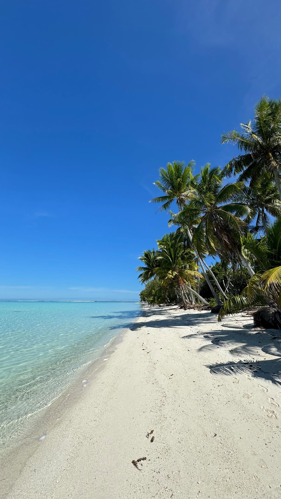 Dan, Bora Bora