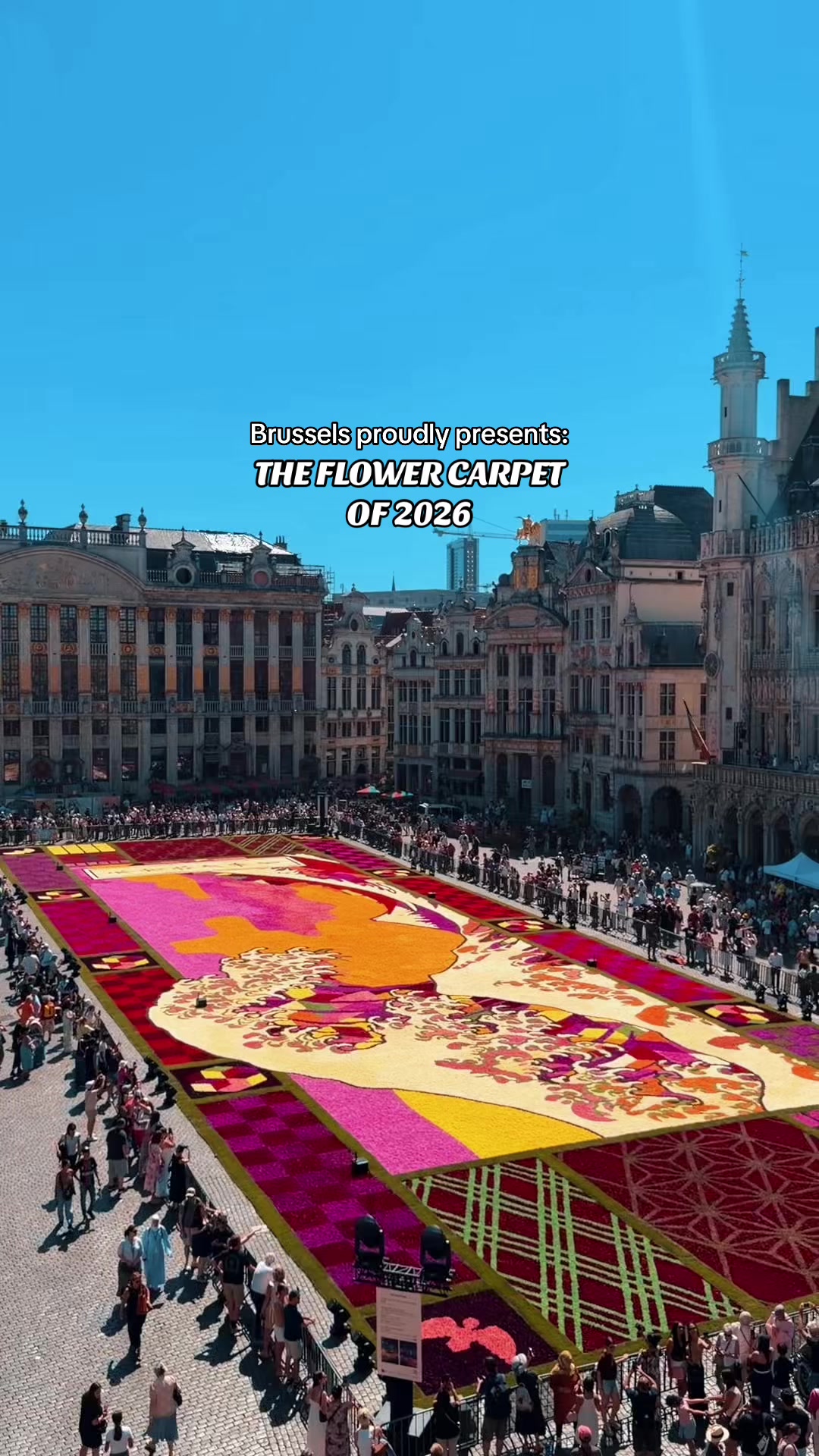 WHAT UP BRUSSELS, Grand Place