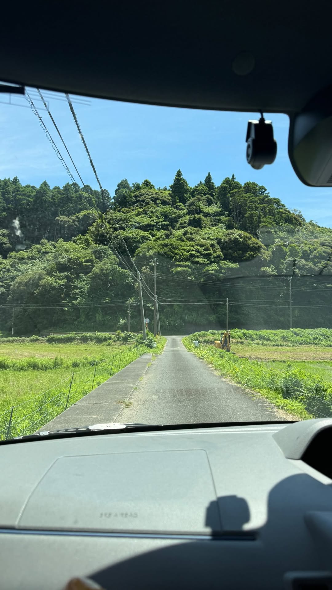 🇯🇵Kane | Japan Local Adventures, Hachikō Memorial Statue