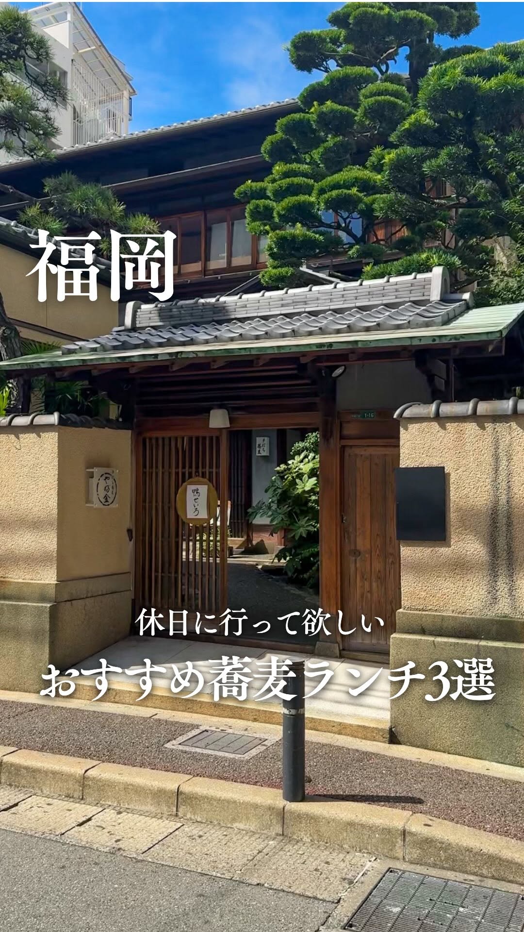 わた｜福岡グルメ【ランチ・カフェ】, Yabukin