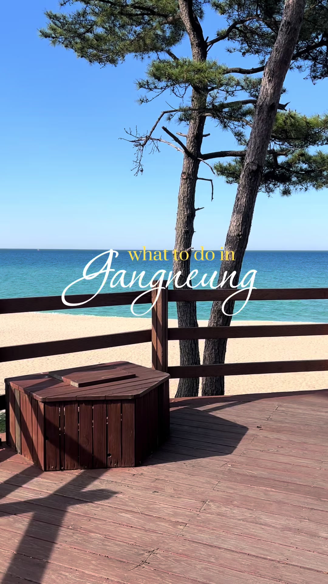 atinaellim, Gyeongpo Beach
