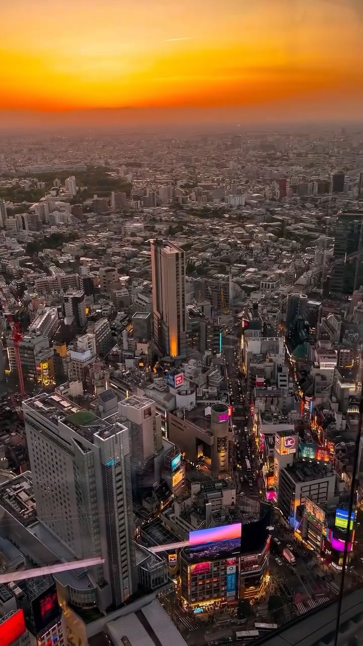 Tokyo Tokyo, Shibuya Sky