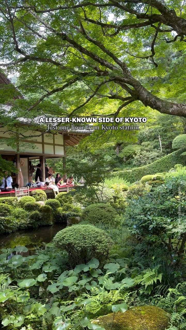 Mari 🇮🇹 • Japan Travel, Sanzen-in Temple