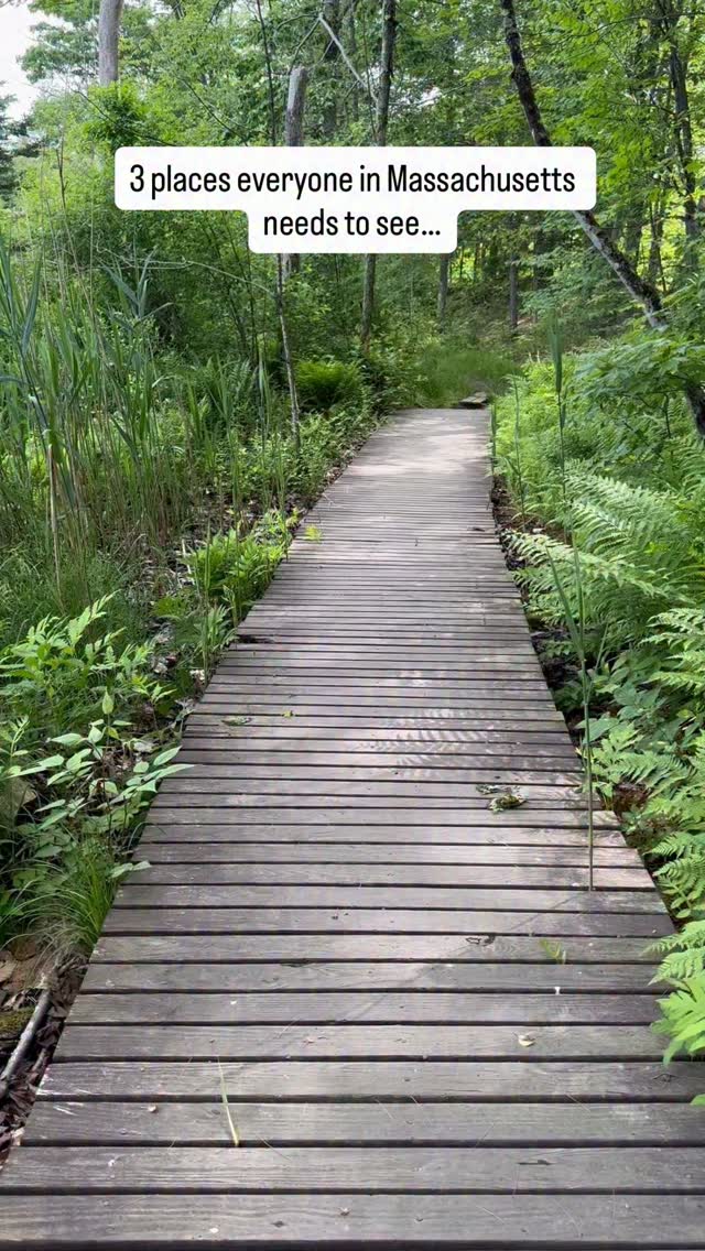 New England Passport, Mass Audubon's High Ledges Wildlife Sanctuary