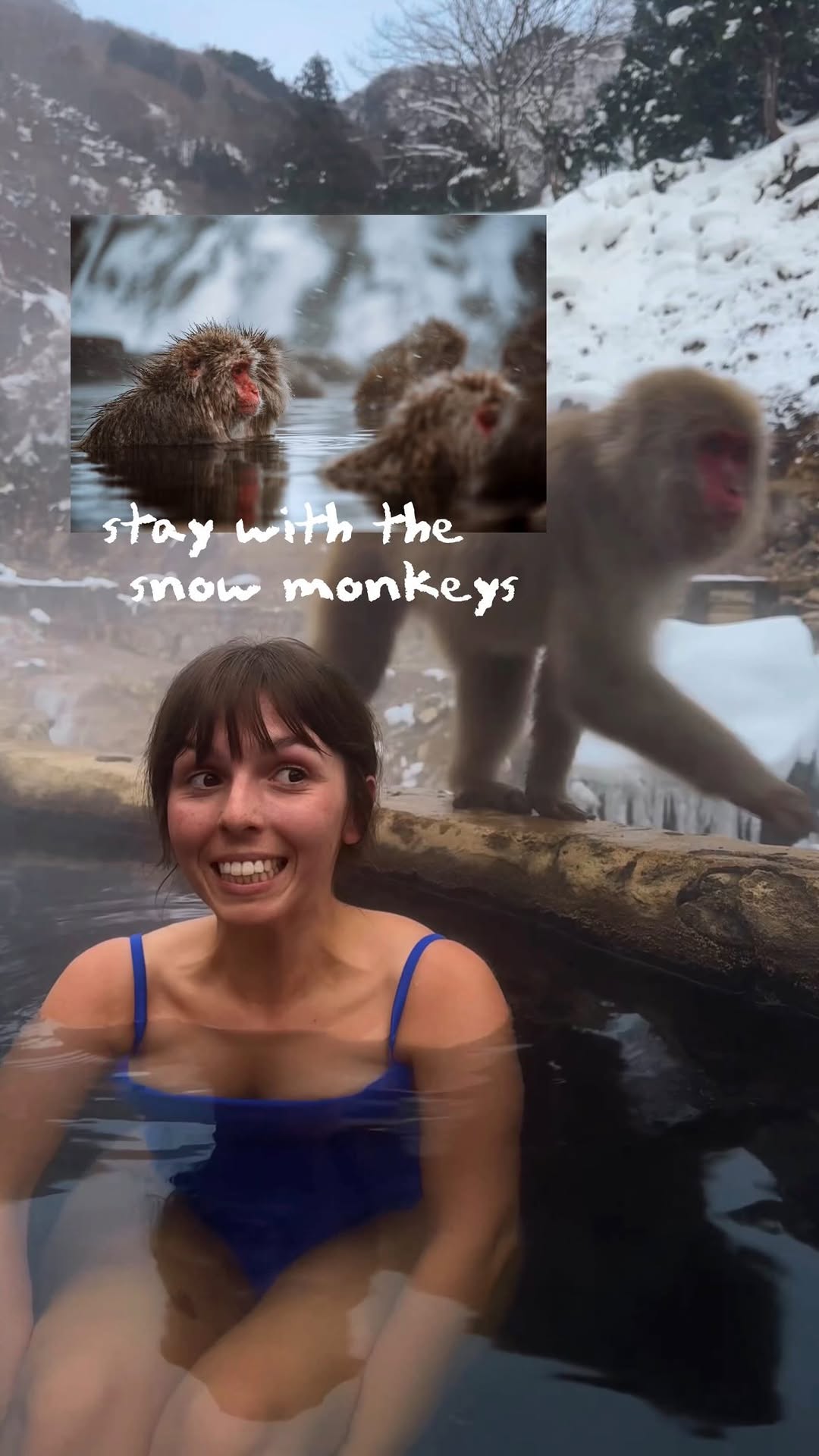 Dana 🍩 Your Unique Travel Expert, Snow Monkey Park (Jigokudani Yaen Koen)
