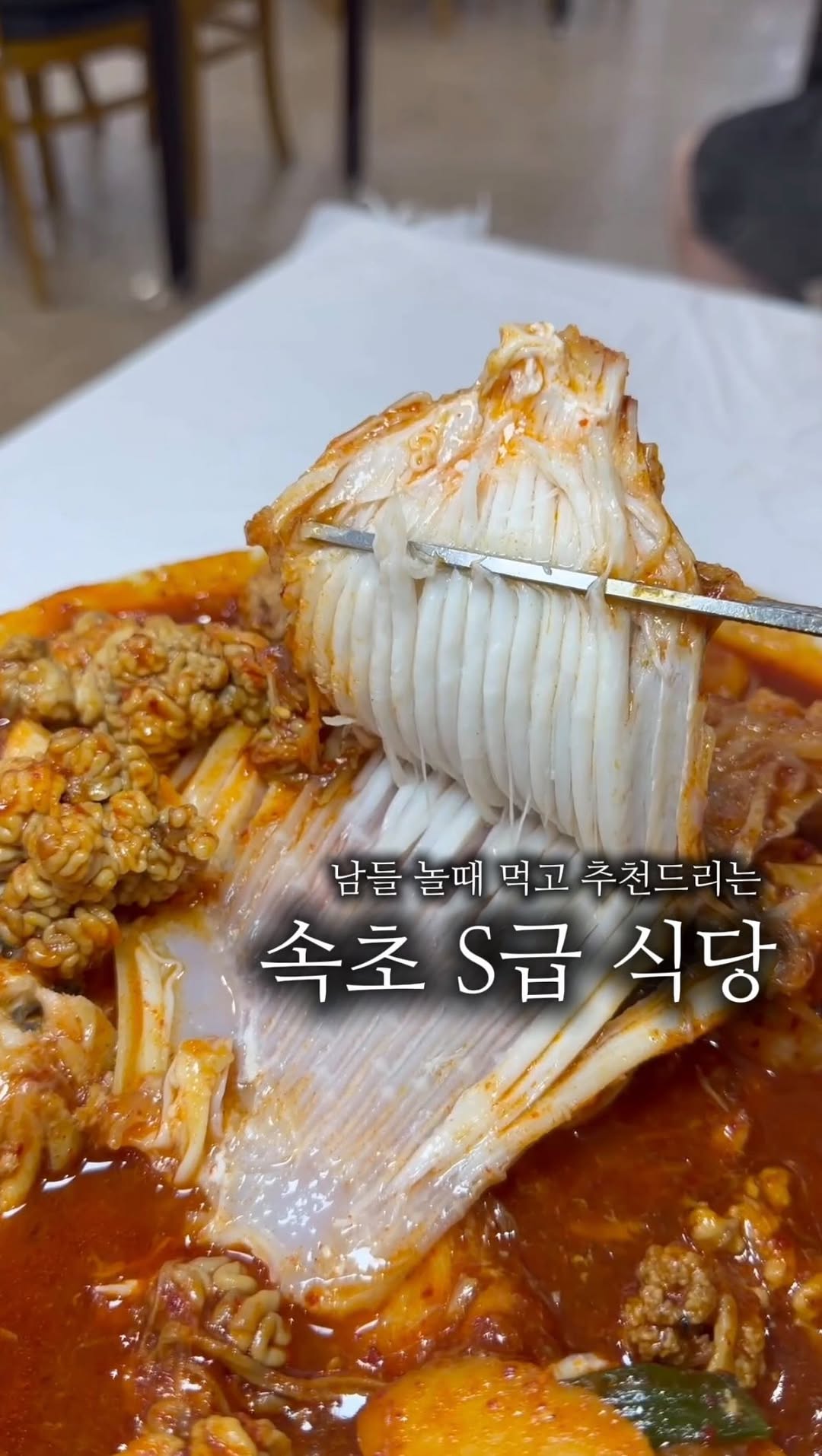 함스타, Sokcho Tourist & Fishery Market