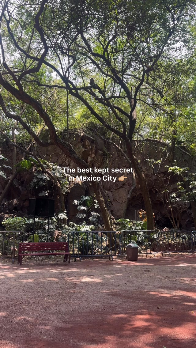 Meghan Natasha | Run & Travel, Bosque de Chapultepec