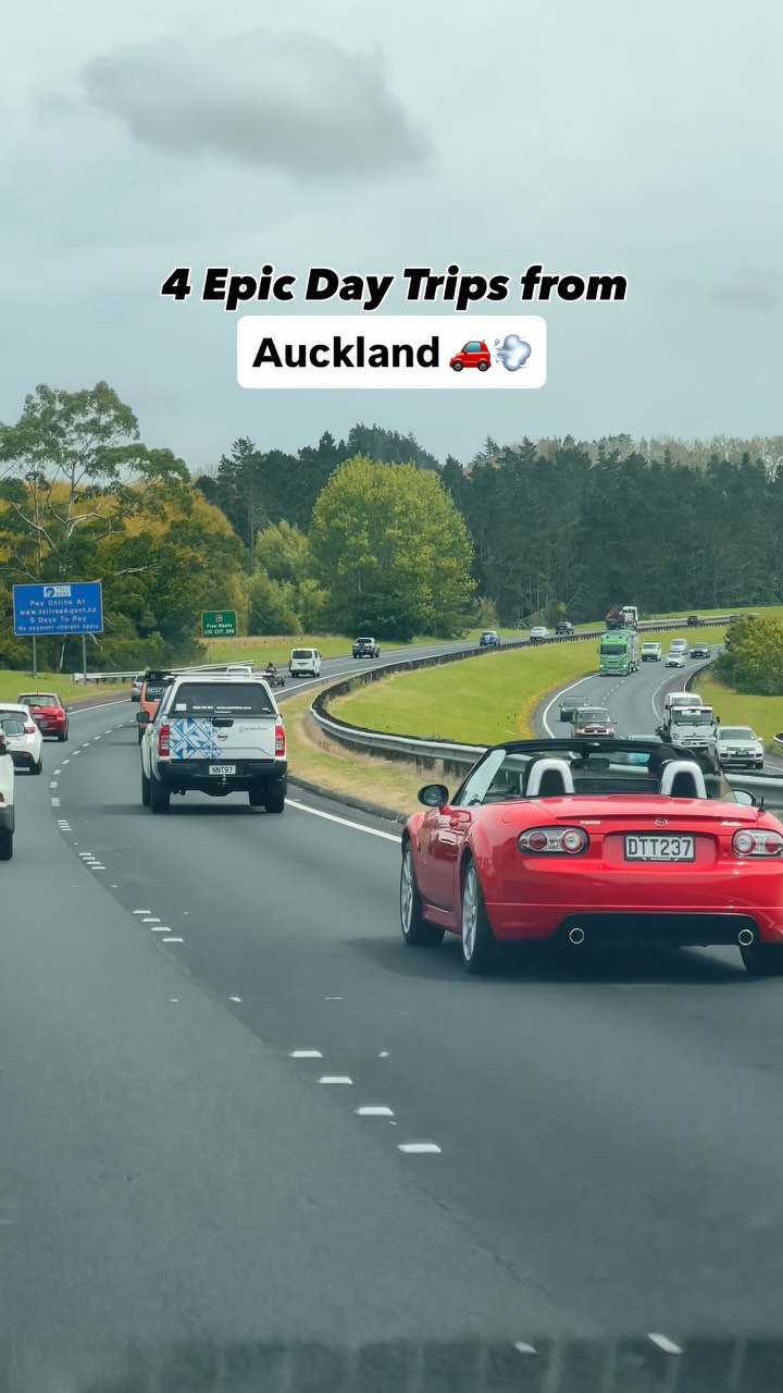 Barbie Sharma | Travel + Life Abroad, Whangarei Falls