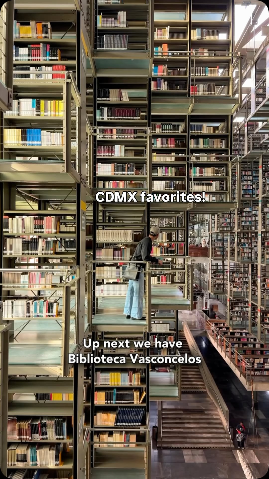 Luis Arturo Sanchez, Biblioteca Vasconcelos