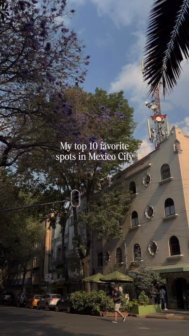 Mr. W | Modern Hospitality in Mexico, Xochimilco