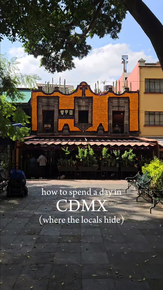 Sveva Bucaria (Marcangeli), Coyoacan Market