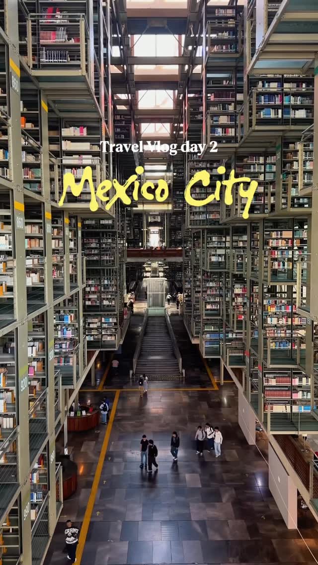 Vanessa Roberts, Biblioteca Vasconcelos