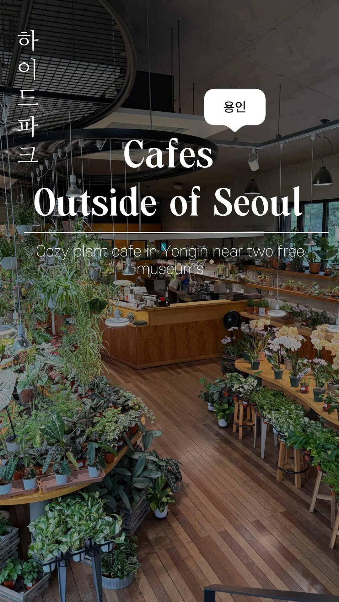 Yuni 유니 • Korea Beyond Seoul, Korean Folk Village