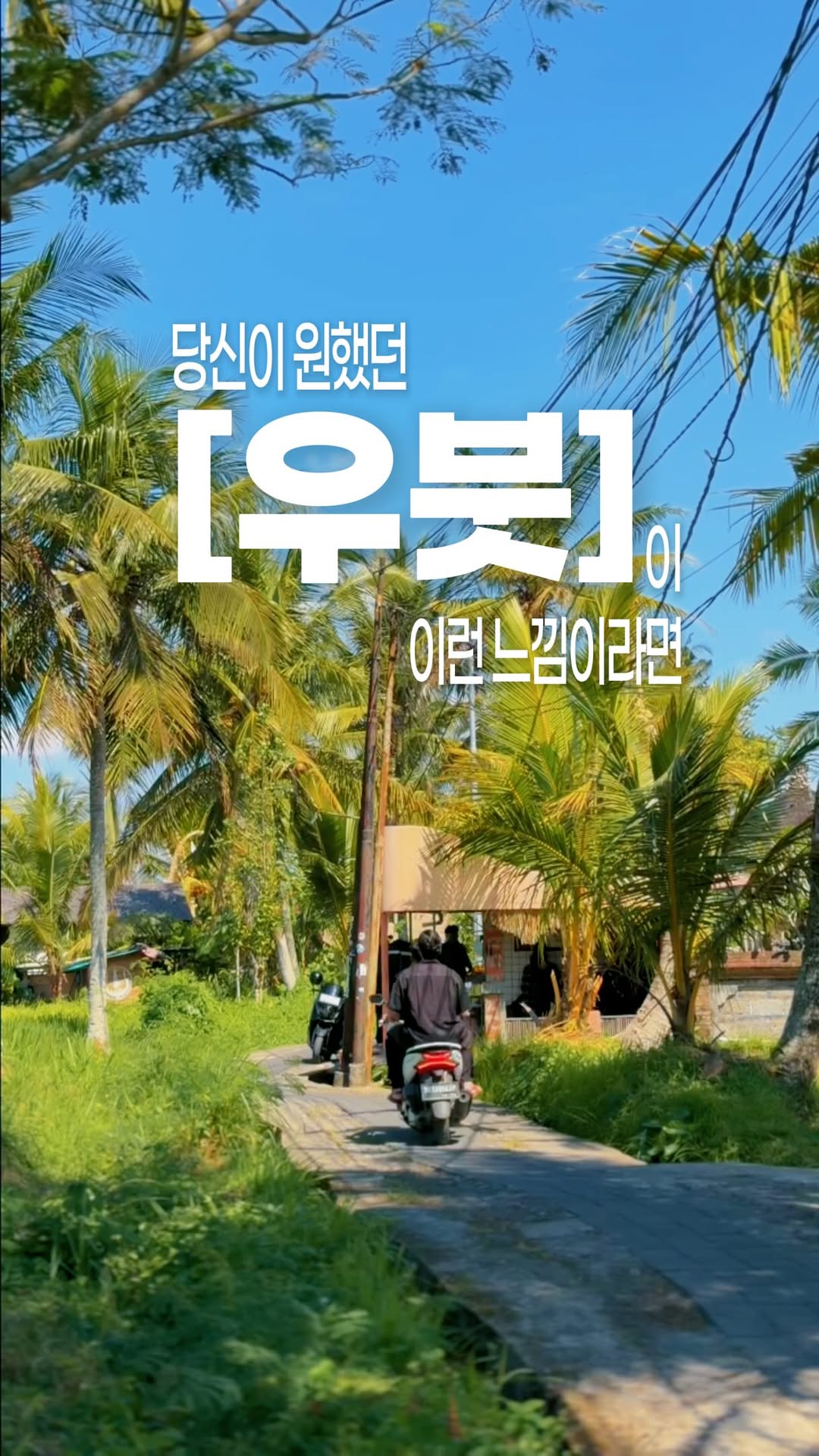 아임프리 | 디지털노마드 호소인, PUKAKO by Paddyfield