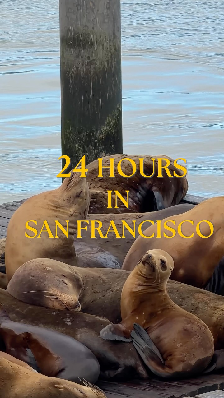 Madison Hansen, Fisherman's Wharf