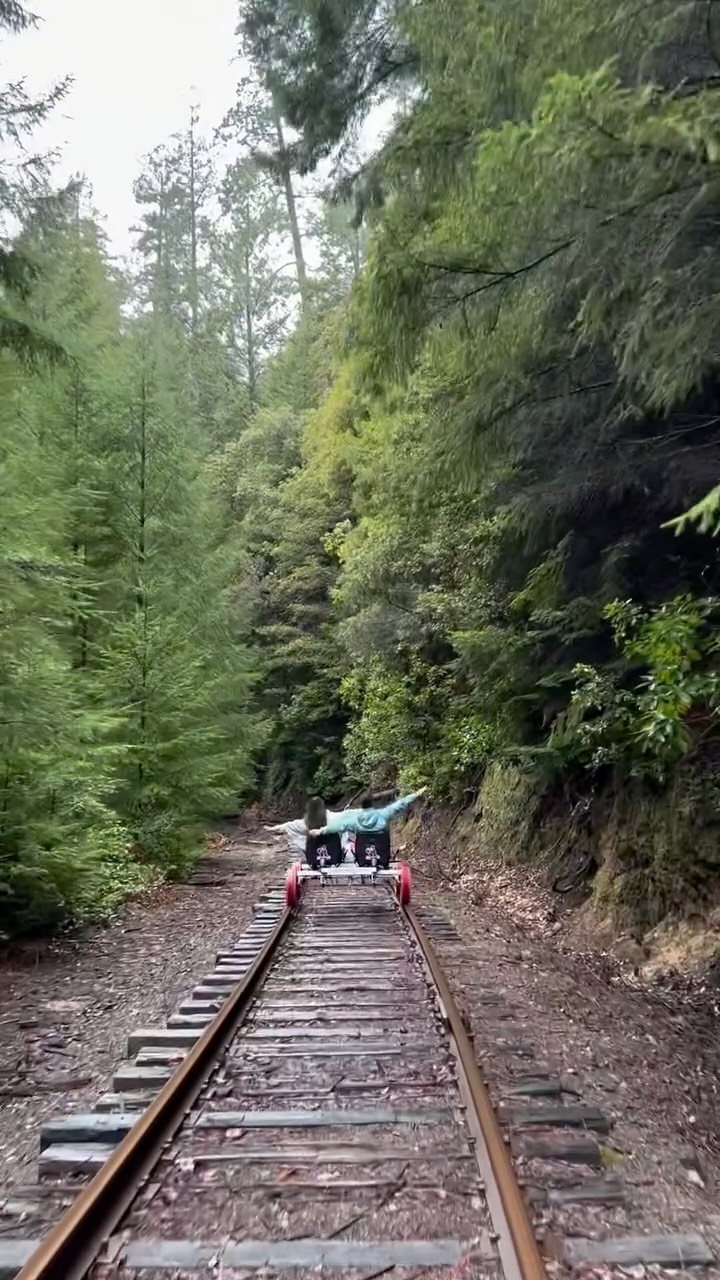 Discover California | Nature & Travel, Camp Noyo