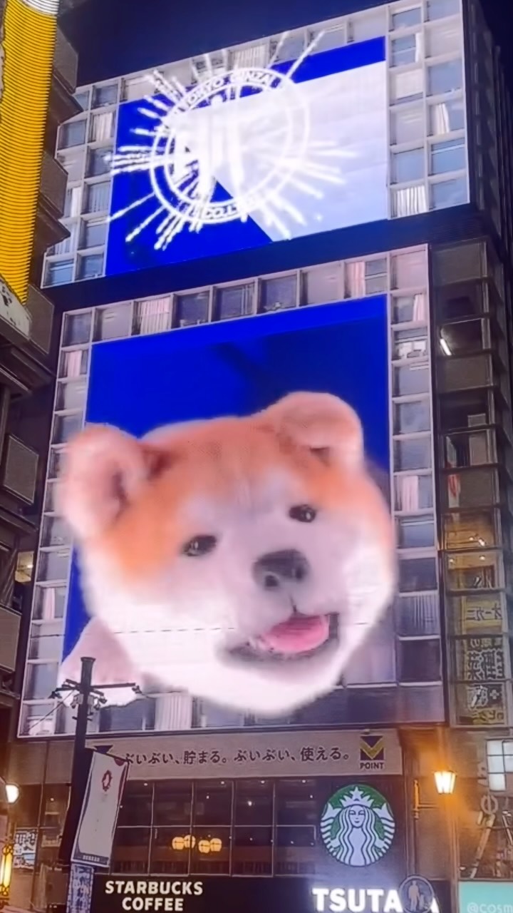 Mona, Shibuya Scramble Crossing