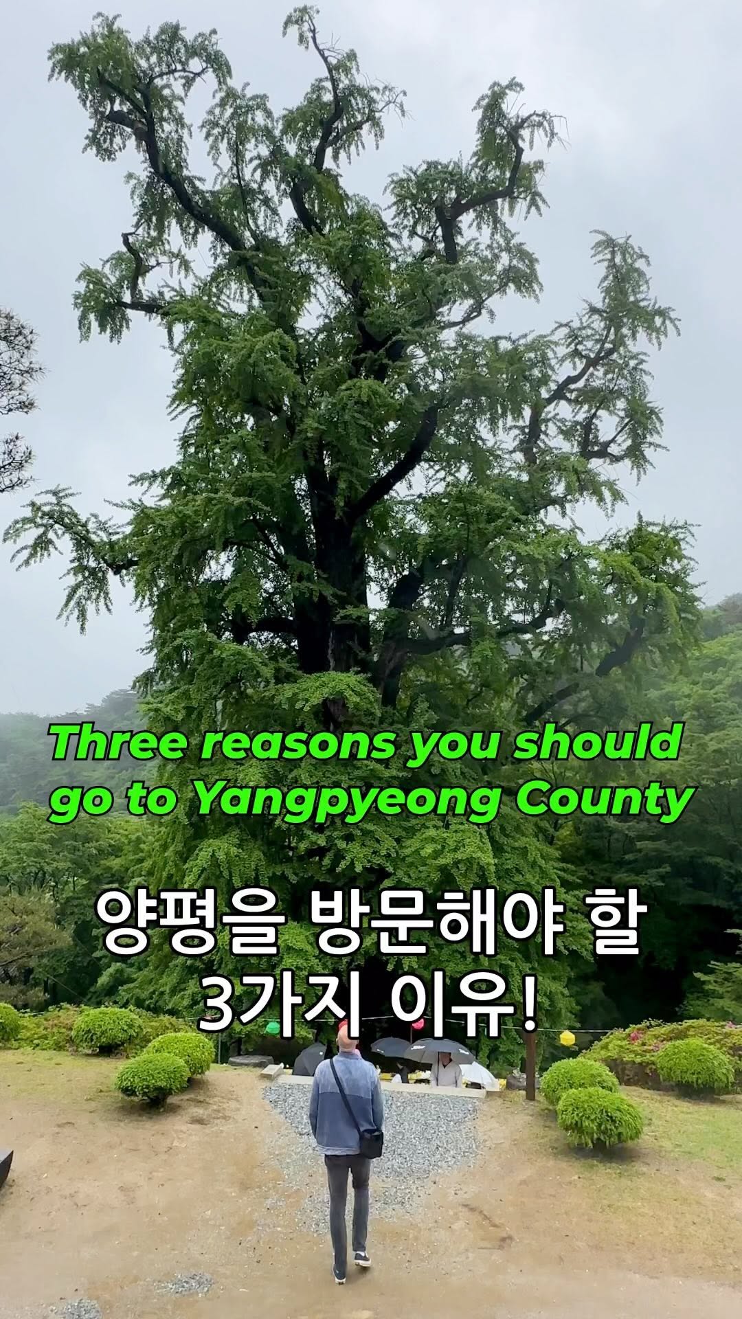 iGoBart 아이고바트, Yongmunsan Yongmunsa Temple