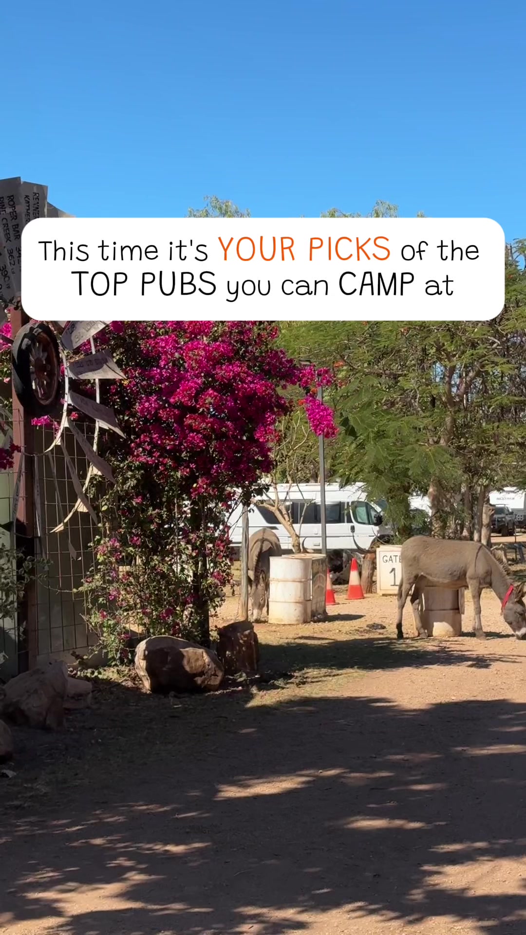 Camps Australia Wide, Daly Waters Pub