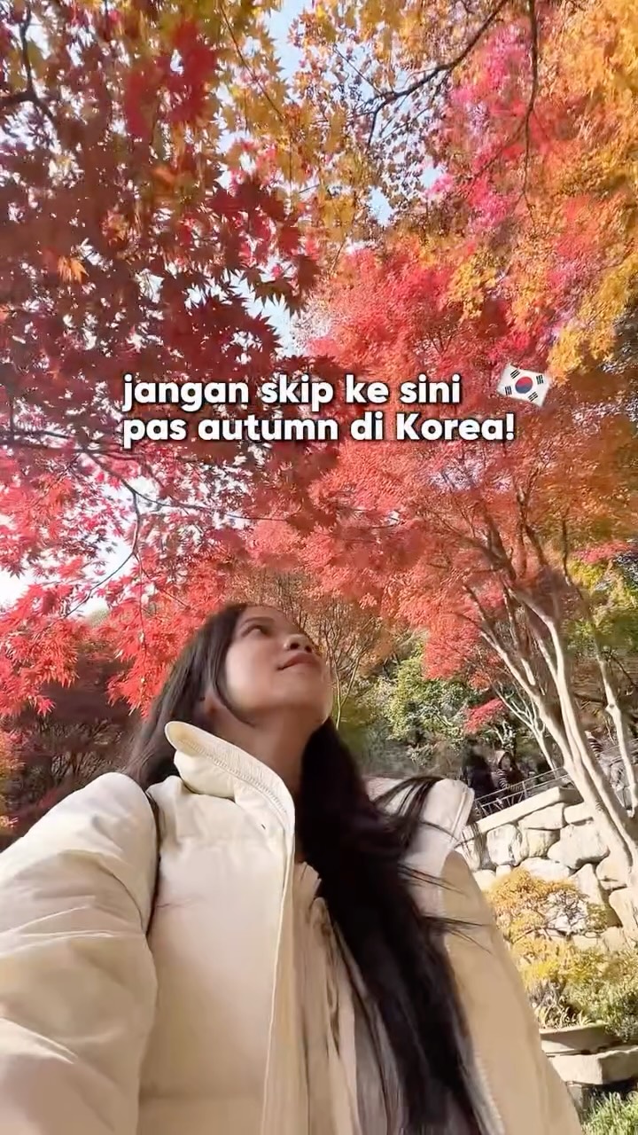 ARIN 아린 | Travel & Couple🇰🇷🇲🇨, Haneul Park