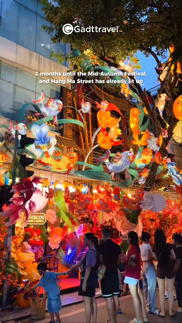 Gadt Travel, Phố Hàng Mã