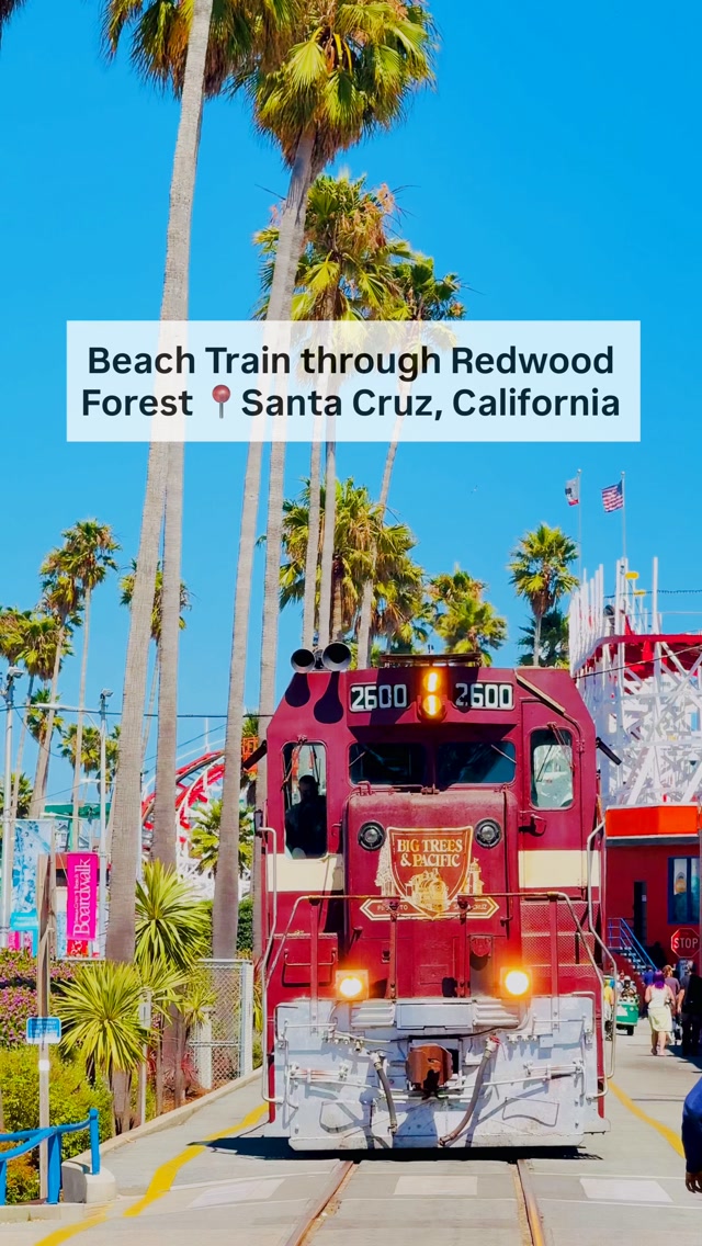 Athi  * SF Bay Area Family Travel - Budget Friendly California, Santa Cruz Beach Boardwalk