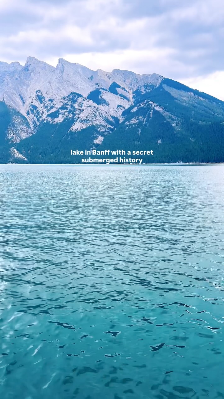 Maple Wire | YYC & more, Banff