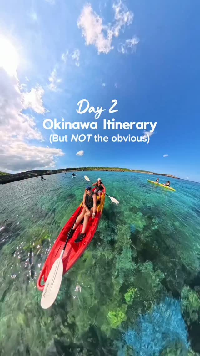 Travel & Lifestyle Creator + Tips for The-SavvyTourist.com, Imgyaa Marine Garden