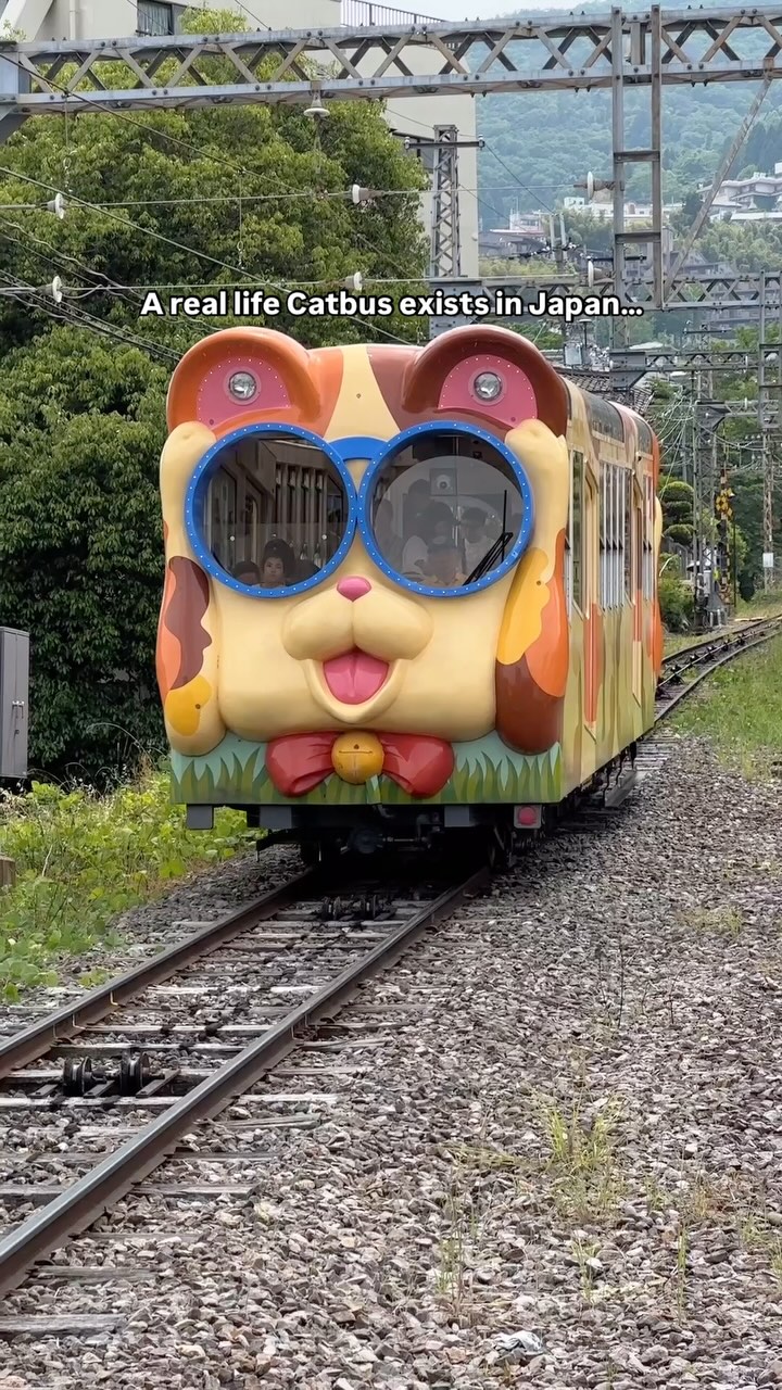 ANANYA RAY, Ghibli Park