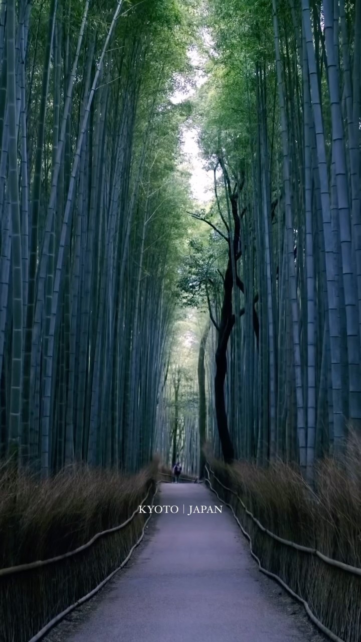 Katsuyuki Miyanishi, Hokan-ji
