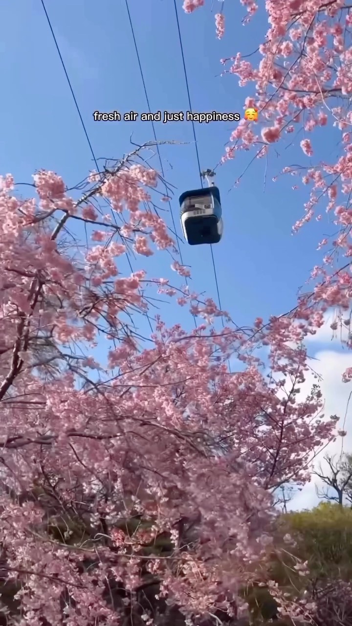 Japan 日本 🇯🇵 Asia Travel | Hotels | Food | Tips, Yomiuri Land