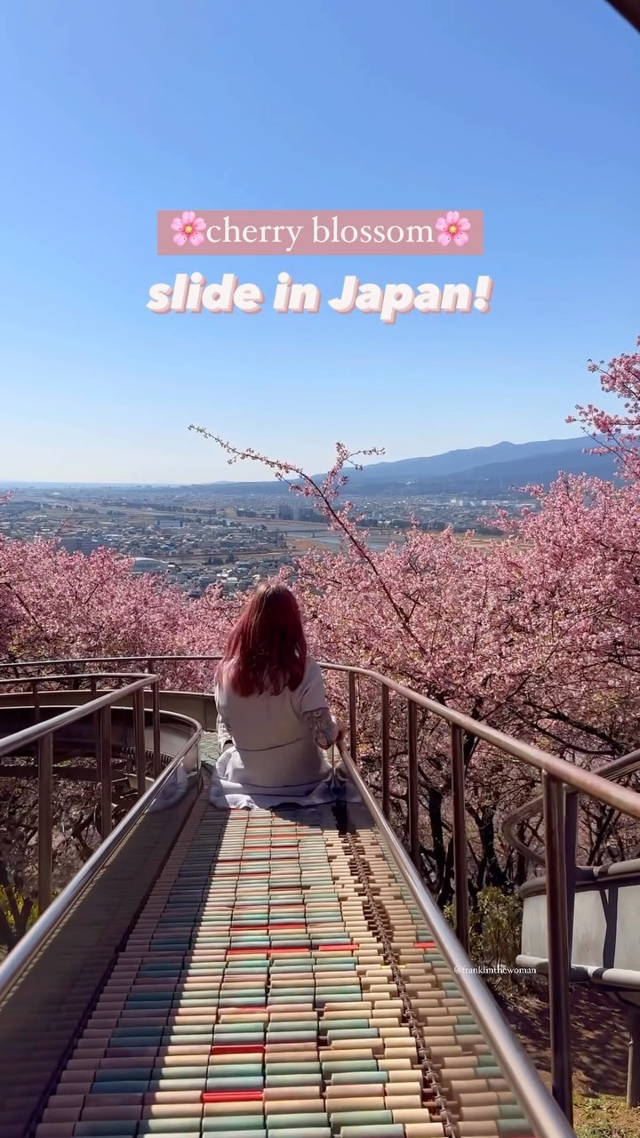 Frankie フランキー | Japan Life & Travel, Matsudayama Herb Garden
