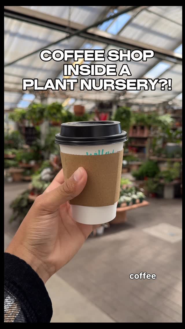Things to do in Arizona | Travel, Food, & Unique Experience, Warner's Nursery & Landscape Co.