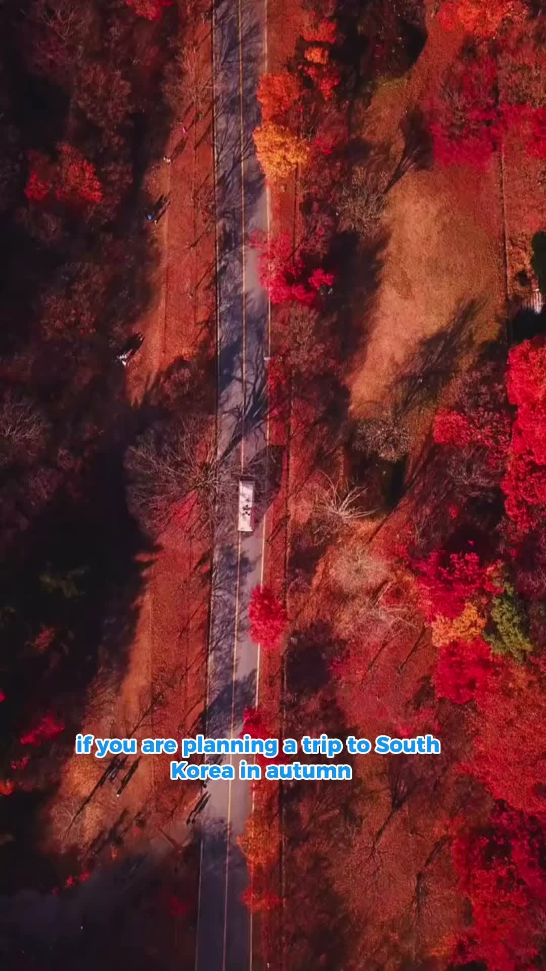 Twise Technology, Seoraksan National Park