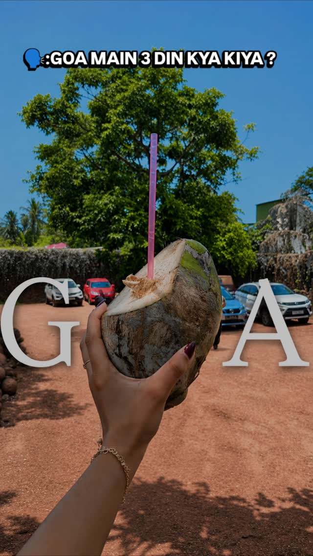 आशु 🌷, Noah Goa
