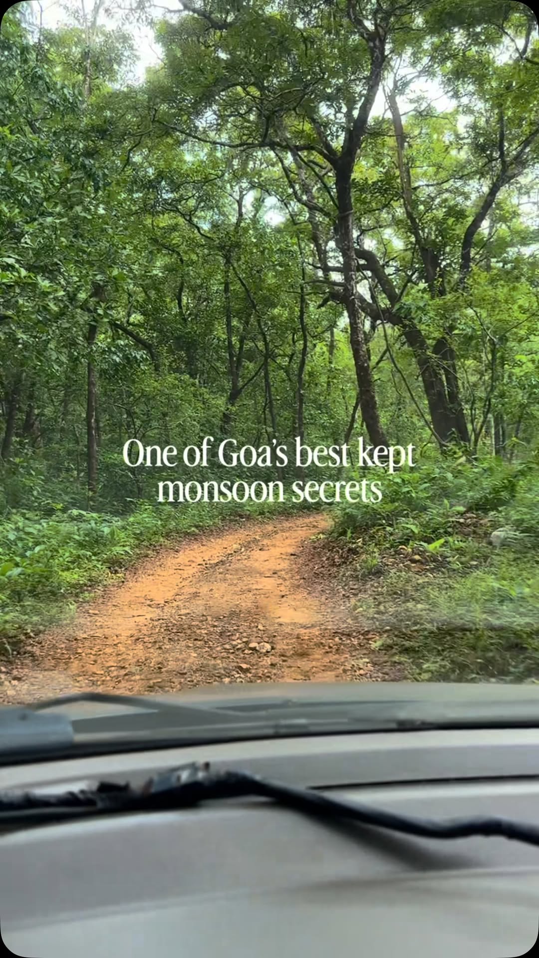 Vaish, Goa